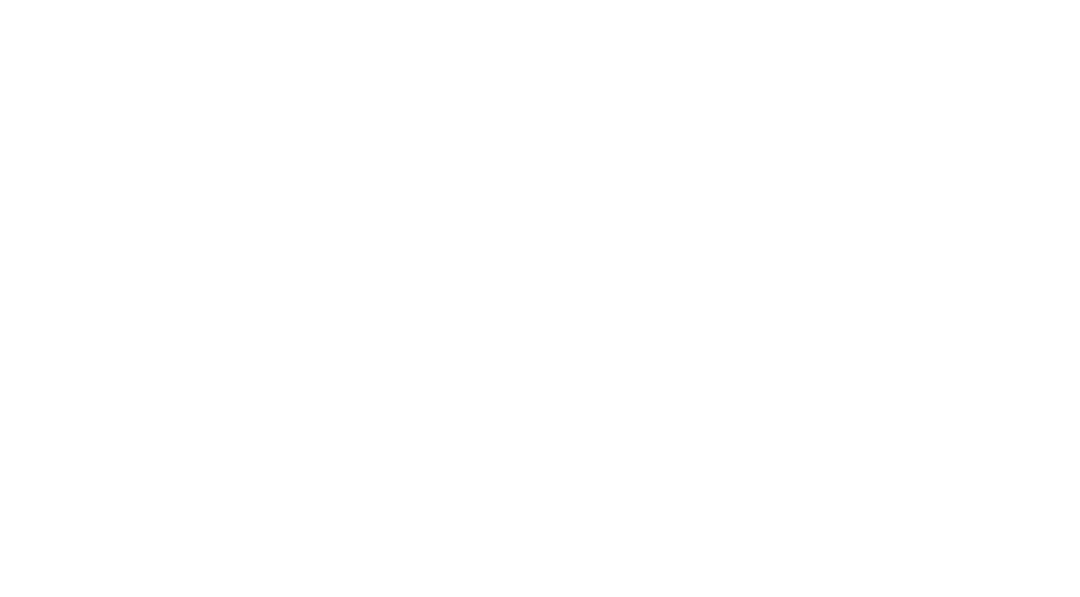 PMU Academy & Studio